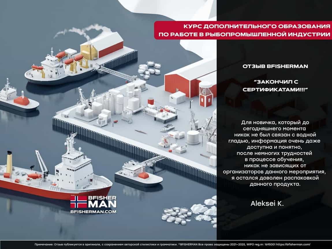 BFISHERMAN ОТЗЫВЫ
