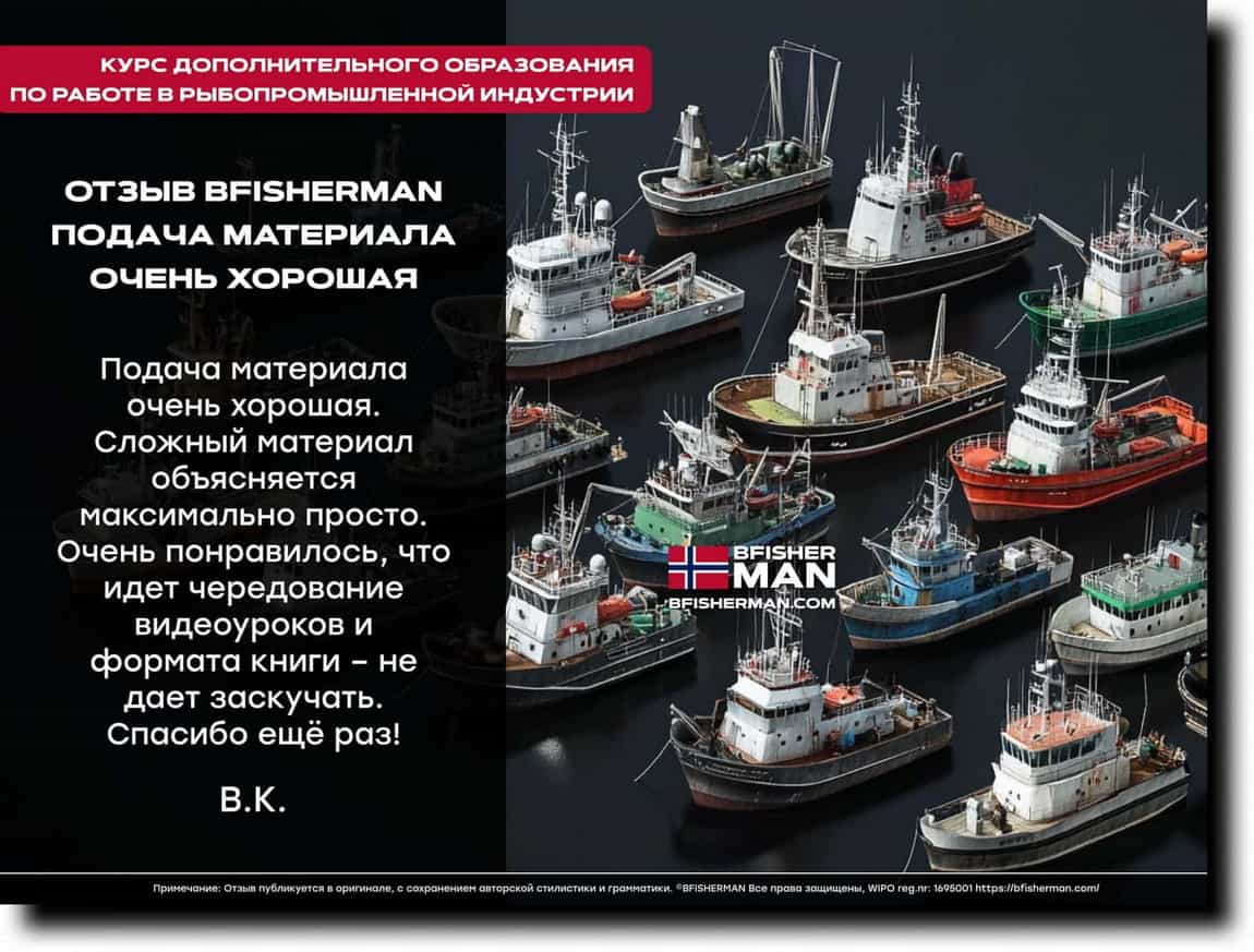 BFISHERMAN ОТЗЫВЫ