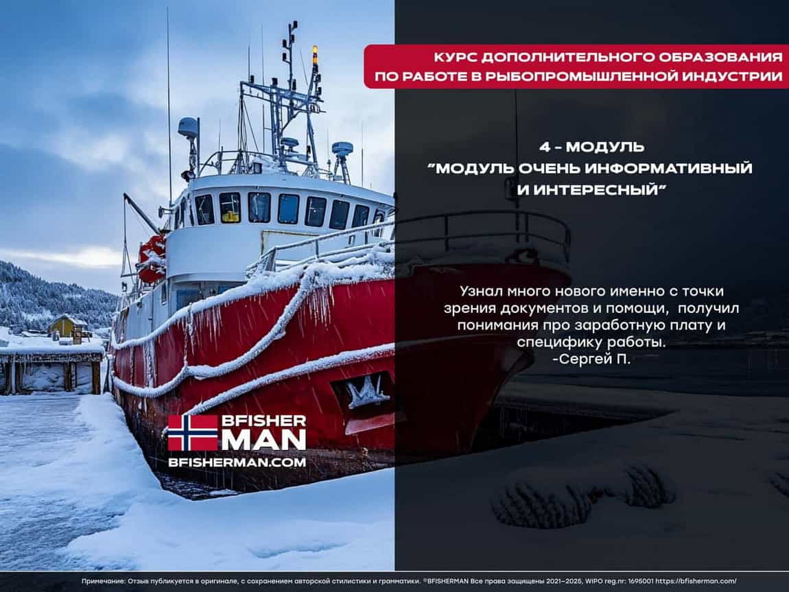 BFISHERMAN ОТЗЫВЫ